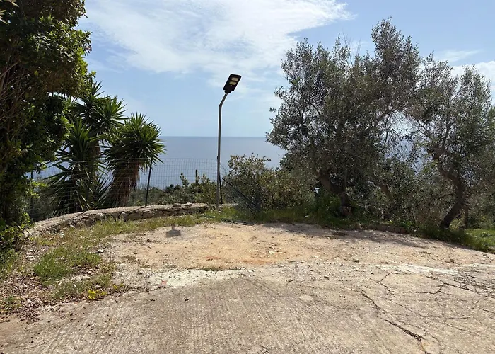 Tra Gli Ulivi