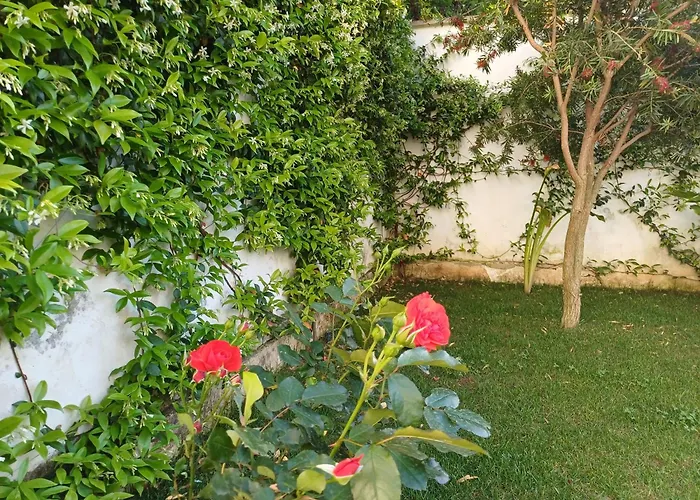 Casa Romeo